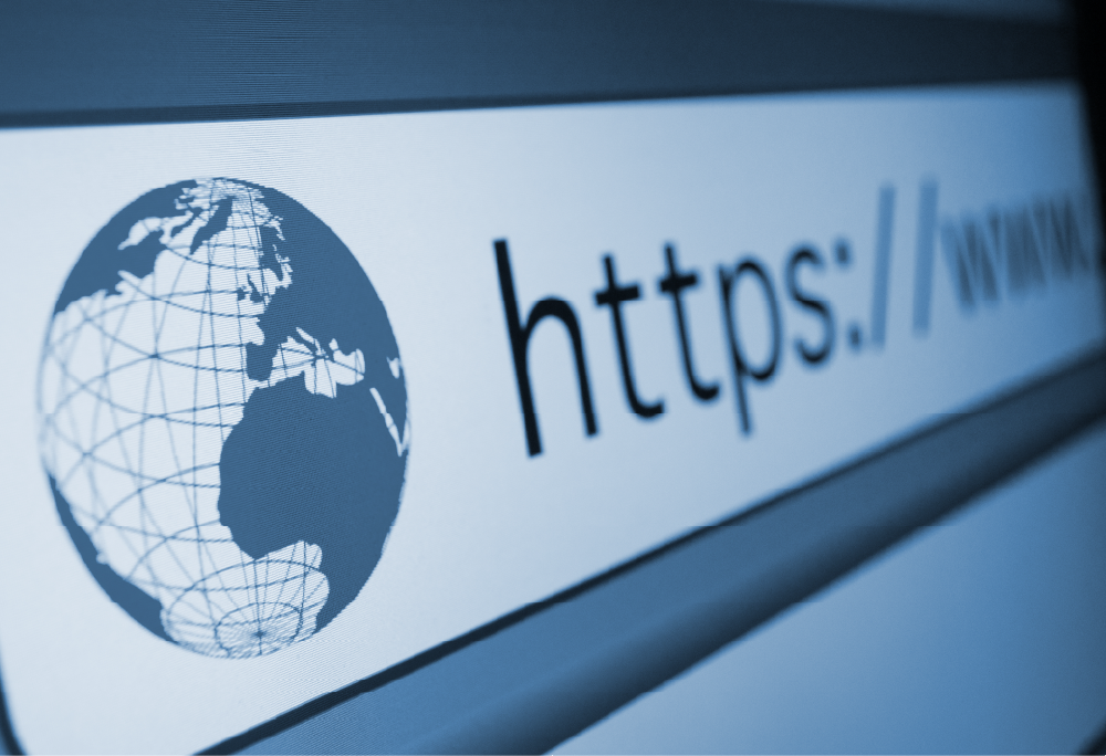 Web division image